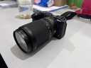 尼康（Nikon）Z30入门级微单相机Vlog家用自拍4K高清旅游高清数码照相机z30拆单机 Z30 50-250mmf4.5-6.3 VR镜头 家用套餐二【升级128G原装包 增加可玩性】 实拍图