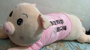 眼含泪光小猪猪玩偶毛绒玩具女孩布娃娃公仔儿童陪睡觉抱枕生日礼物女生友 可爱猪（余生有你，暖又甜) 1.45m 实拍图