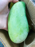颜小荭越南大青芒果新鲜当季现摘特大整箱青皮水果芒果源头直发 2.5-3斤试吃装（单果400g起） 实拍图