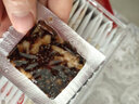 宇盛祥 阿胶糕阿胶固元糕膏块片粉浆东阿县原产地手工即食红枣枸杞驴皮阿胶糕女滋补品 1盒礼盒【1盒共300克共30片独立装】 实拍图