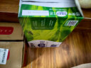 崂茗（laoming）2024新茶崂山绿茶500g罐装高山云雾手工山东青岛特产豆香浓香茶叶 实拍图