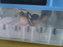 暖立方 家用型孵化器智能小鸡孵化机全自动小型鸡鸭鹅孵化箱芦丁孵蛋器 【自动加水】9枚全自动单电 实拍图