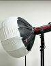 爱图仕（Aputure） LSC 300d II 影视补光灯 摄影摄像灯led网红人像录制直播外拍灯 LS C300d II+Light Dome II 晒单实拍图