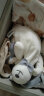 澳贝（auby）婴幼儿童玩具小兔安抚巾宝宝哄睡神器新生儿兔子毛绒手偶满月礼物 实拍图