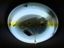 飞利浦三基色环形灯管荧光节能灯管吸顶灯圆形灯芯灯盘蝴蝶形 T8粗环形灯管32W白光 实拍图
