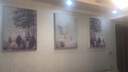 轩棠树客厅装饰画轻奢沙发背景墙壁画北欧象卧室玄关挂画现代简约三联画 艺术生活14款 大套左右60*80中间80*110晶钻画 实拍图