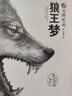 沈石溪动物小说大画本 全5册 狼王梦 奇趣的动物传奇世界 自然界优胜劣汰 自然法则 中小学生课外阅读 实拍图