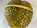 采缇（CAITI）正宗泰国金枕头榴莲新鲜榴莲水果巴掌榴莲带壳整个当季鲜果 2-3斤榴莲盲盒（一天一百个) 实拍图