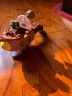 植物大战僵尸 生日礼物儿童礼物正版授权XINLEXIN(新乐新)变形玩具机器人男女孩礼物 海湾旅行者 实拍图