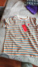 红蜻蜓 短袖t恤女新款2025年春夏季女装纯棉短袖女条纹女士打底上衣衫 橘色 XL 【建议120-130斤】 实拍图