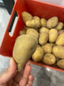 恩施小土豆新鲜马铃薯农家黄心洋芋现挖蔬菜马铃薯 9斤 大果 鹅蛋大小左右 实拍图