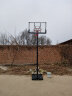 双航 篮球架 室内家用篮球框球架 户外可升降可移动标准高度篮球架 018S成人升级款(篮筐1.7-3.05米) 实拍图