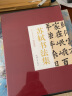 苏轼书法集 全2册16开精装 苏东坡书法集 毛笔临摹字帖 书法收藏 作品书法帖字帖 苏轼书法精 苏轼书法全集 苏轼书法字典  jxt 轼书法字典 晒单实拍图