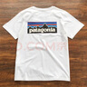 Patagonia 巴塔哥尼亜T恤夏季美式短袖复古后背山峰印花 白色 L（ 140-159斤） 实拍图