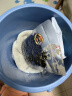 爱丽思（IRIS）手提塑料水桶有刻度加厚多功能储水桶爱丽丝洗涤浇花清洁收纳水桶 容量8L 实拍图