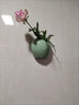 安言 壁挂花瓶墙上遮丑免打孔陶瓷创意悬挂式悬吊花盆绿萝简约水培 YY-壁挂-唐装(梅子青) 小 实拍图