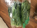 有机汇有机菠菜 绿叶青菜火锅菜有机蔬菜  有机认证农场种植 新鲜无农残 1500g 实拍图