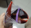 鲟食 波士顿龙虾冰鲜冷冻大波龙澳龙大龙虾生鲜虾类夜宵送礼 波士顿龙虾【生冻】 400-500g/只【尝鲜】 实拍图