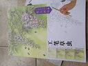 墨点 工笔技法解析与原大画稿 成人手绘工笔花鸟国画入门教程教材图书工笔画临摹 实拍图