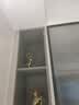 帕美居 新中式花瓶鹿摆件客厅卧室家居装饰品电视柜酒柜房间布置开业礼 木绿花瓶+白迎春花+金鹿一对 实拍图