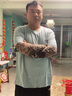 淘有型防晒袖套男冰袖花臂纹身套袖薄款户外骑行手袖护臂遮阳开车手臂套 花臂150 【一双】 实拍图