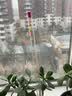 小凤仙芦苇浮漂春钓轻口高灵敏鲫鱼漂加粗醒目鲤草混养浮漂黑坑竞技 H-LY9浮钓白条 吃铅约1.30-1.23g 1号漂/支 实拍图