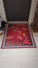 星晚入户进门口3D地垫玄关客厅防滑耐脏毯子免洗蹭灰踩脚垫可裁剪定制 九鱼招财 80*100cm 实拍图