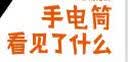 自然观察与实践-手电筒看见了什么  实拍图