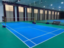 速标 羽毛球场地胶垫PVC运动地板室内体育馆专用气排球防滑塑胶地垫 入门级荔枝纹4.5mm 实拍图