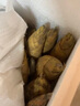 储山新鲜冬笋笋子现挖毛竹笋蔬菜黄泥拱笋尖 5斤 实拍图