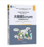 大规模Scrum：大规模敏捷组织的设计 实拍图