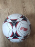 红双喜DHS 儿童青少年4号足球训练教学儿童玩具机缝足球FS4101-1 实拍图