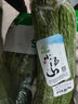 小汤山 苦瓜 400g 基地直供新鲜蔬菜安全可追溯 实拍图