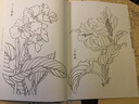 初学者之友 白描：白描百花+荷花+牡丹+草虫+仕女+禽鸟（套装全6册） 实拍图