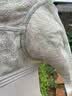 茜茜公主调整型文胸性感内衣女胸罩小胸聚拢收副乳防下垂矫正上托 香草肤 80C 实拍图