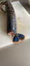 鲟食 波士顿龙虾冰鲜冷冻大波龙澳龙大龙虾生鲜虾类夜宵送礼 波士顿龙虾【生冻】 400-500g/只【尝鲜】 实拍图