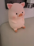 九木杂物社LuLu猪拍拍灯夜灯可爱卧室创意情侣生日潮玩摆件小夜灯生日礼物 掌中猪 实拍图