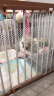 漫德莱阳台防护网 安全防坠塑料网围栏网护栏防猫网儿童隔离封窗网1*3米 实拍图