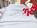 梦多福汽车前挡风玻璃罩挡雪罩遮雪挡前挡罩风挡罩冬季防霜防冻挡风半罩 实拍图