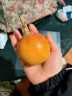 甘贤（GANXIAN）热情果（顺丰-可送到家）云南哥伦比亚品种热情果香甜黄金百香果 12枚礼盒装（单果80-120g) 晒单实拍图