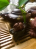瓷牌茗 紫砂茶宠摆件创意茶盘茶玩可养笔架盖置壶盖托茶具茶道零配件 多功能（福猪）茶宠 实拍图