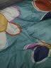 南极人（Nanjiren）100%全棉被套单件纯棉斜纹单双人 200x230cm被罩春夏被单床品套件 S苹果派对 【100%全棉面料不起球】 150x200cm单被套 实拍图