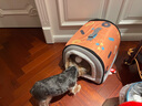 KimPets狗窝大型犬冬季保暖狗狗床可拆洗冬季猫窝封闭式狗屋冬天宠物用品 橙灰拼接房子窝 S号【40*35*33cm适合5斤内】 实拍图
