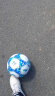 李宁足球5号成人儿童青少年中考世界杯标准专业比赛训练小学生五号球 晒单实拍图