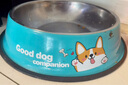 华元宠具（hoopet）狗狗碗狗盆不锈钢猫咪碗食盆喂食喝水宠物防打翻狗粮猫粮专用饭盆 单层-萌萌柯基 打翻可退 2XL 实拍图