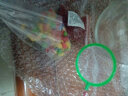 诺摩（NOMOY PET）圆形鱼缸生态金鱼缸乌龟缸超白玻璃小型鱼缸办公室迷你小鱼缸 小号裸缸 实拍图
