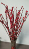 开时果 银柳鲜枝干花年宵花卉 红色真花福桶银柳水培植物室内装饰鲜花 【100cm】银柳40枝（喜庆红） 实拍图