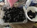 Sweet Color水性免烤指甲油黑色碎钻甲不伤手光疗指甲油 790极光紫 实拍图