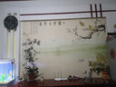 六纹鱼 新中式花鸟富贵吉祥图壁纸客厅电视背景墙壁布无缝墙布装饰壁画 (浮雕)硅藻泥纹艺术超浮雕/平方 实拍图