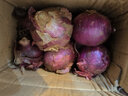 中鲜生 云南紫皮洋葱现挖红皮洋葱新鲜蔬菜生鲜当季新鲜洋葱 5斤装【普通装】 实拍图
